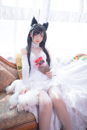双赢彩票app