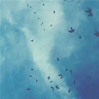 抖音