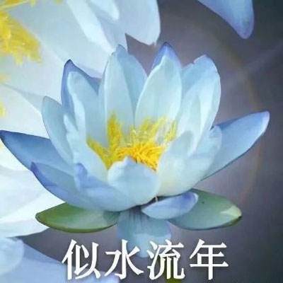 开元官方app下载手机