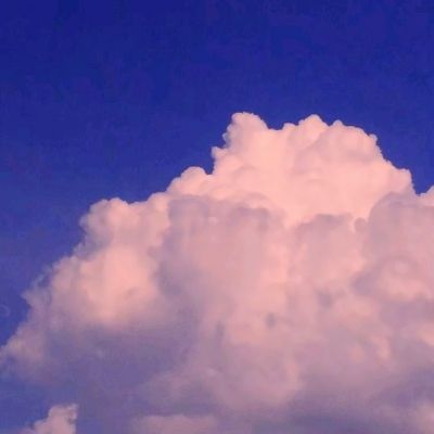 中彩网手机版官方下载