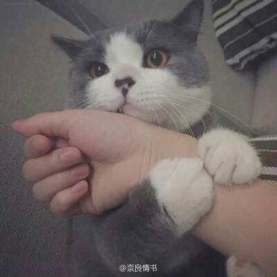 牛票多多彩票app官网苹果版截图