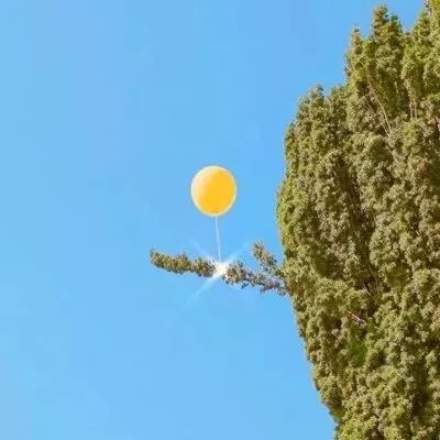 牛票多多彩票app官网苹果版