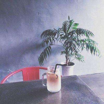 pe体育截图