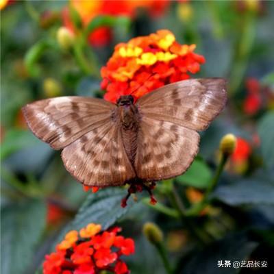 网信彩票截图