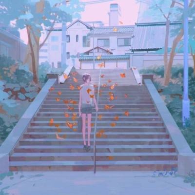 yoboo手机版