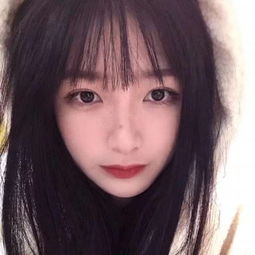 耀彩网注册截图