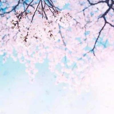 浙江有快3截图