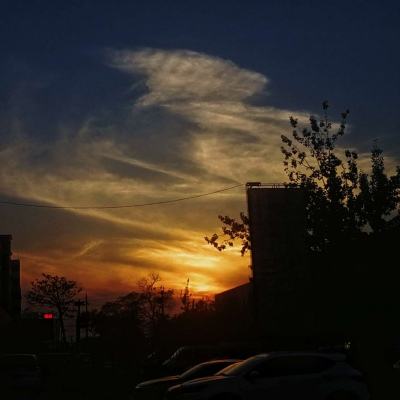 福建体彩36选7