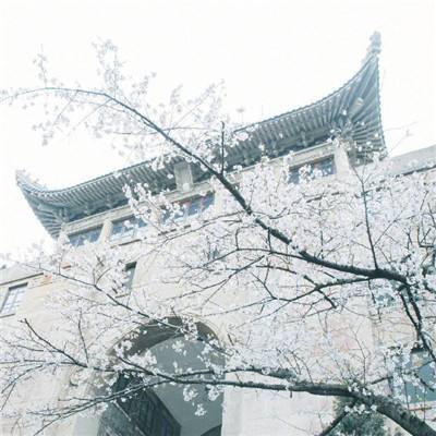 众购导航线路入口