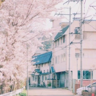 彩运cy888官方