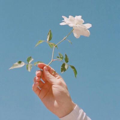 万彩网官方下载