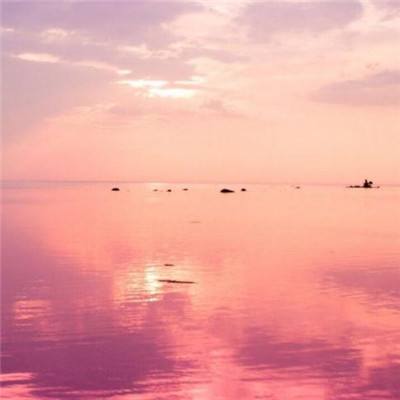 8208官方线路检测中心