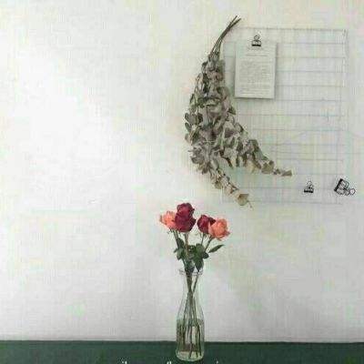 开元棋脾595cc下载截图