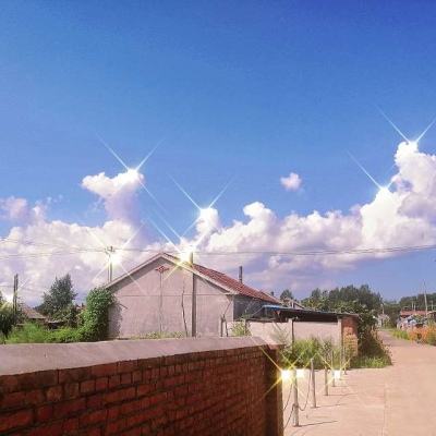 速度与激情