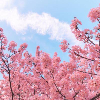 星空·体育登录入口