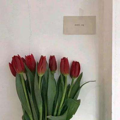 一定牛彩票截图