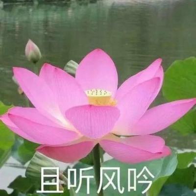 可看直播快3的软件截图