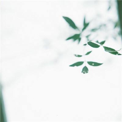 彩神v8iii截图