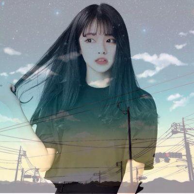 官方版大发239