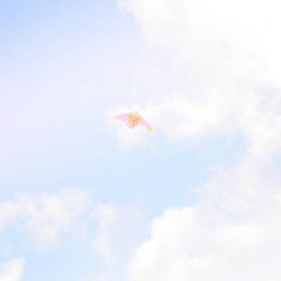 二四六天下彩app下载