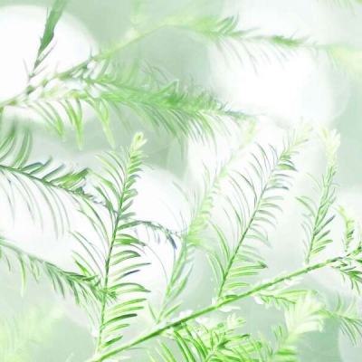 耀彩网彩票