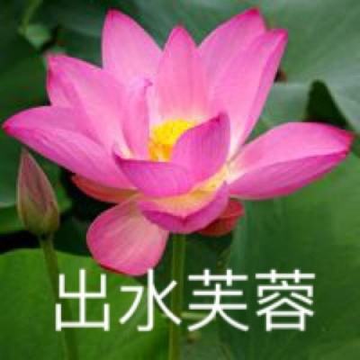 千锦娱乐官网截图