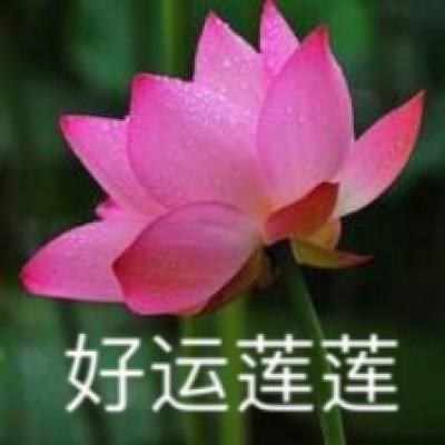 五分彩正规平台