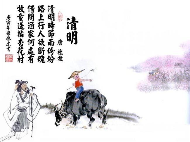 足球直播500