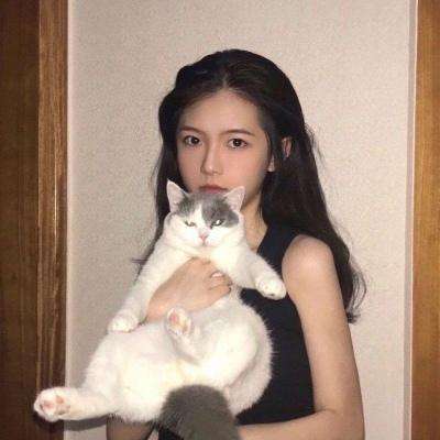 开元所有网站